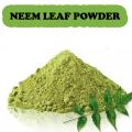 Herbology  Neem Leaf Powder -  Organic Neem Powder Excellent for Skin and Detox - Azadirachta Indica. 