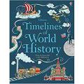 Usborne Timelines Of World History: From the Stone age To the Millennium By jane chisholm. 