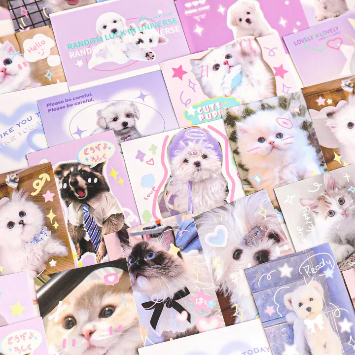 Paper Sticker Cartoon Cute Cat Diy Material Sticker | Daraz.pk