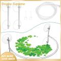 Enigma- Floating Plant Corral for Aquarium Floating Plant Guard for Aquarium Keep Aquatic Plants Safe Secure with This Floating Plant Barrier Fish Tank Accessory Floating Plant Barrier for Aquarium. 