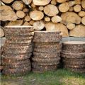 Natural Wood Slices (12 Pcs, 3–5 Inches) – Rustic DIY Craft Kit for Wedding Decor, Art Projects & Ornaments. 