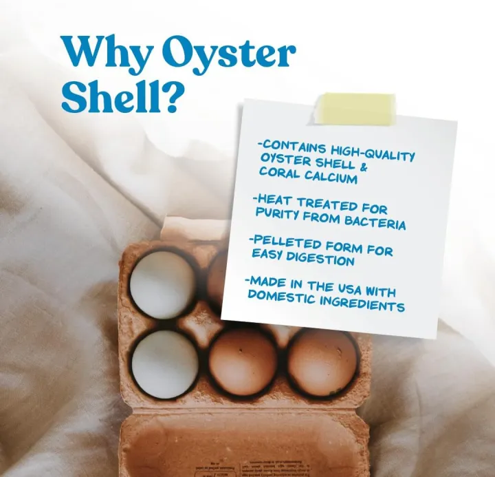 Crushed%20Oyster%20Shell%20for%20Chickens%20%E2%80%93%20Calcium%20Supplement%20for%20Laying%20Hens%20to%20Support%20Strong%20Eggshells%20%E2%80%93%20Natural%20Poultry%20Mineral%20Feed%20for%20Backyard%20Chickens%20%E2%80%93%20500%20g%20-%20Image%204