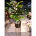 1 Metal Round Freestanding Wired Black & Gold Planter Home Decor Best for Lounge, Bedroom, Drawing Room / Planters / Planters with stand / Planters with stand and pots. 