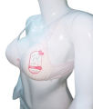 Best Quality Comfortable Foam Padded Bra. 