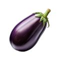 Hybrid Eggplant Seeds ( Bangan k beech ). 