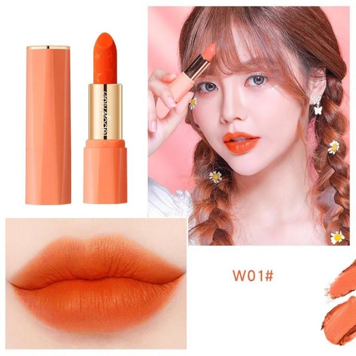 Orange Lipstick Waterproof Long Lasting Matte Lipsticks Resistant Lip Stick Velvet Lip Tint Women Cosmetic Lip Glaze Makeup