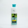 Hair Pantry - Clear Anti Dandruff Shampoo. 