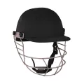 Pack of 9 - Cricket Kit For Adults (Hard Ball Bat + Hard Ball + Gloves + Cricket Kit Bag + Helmet + Under Guard + Leg Pads + Elbow Pads + Thigh Pads). 