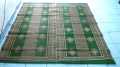 Plastic Mat Chatai 6 by 6 fot. 