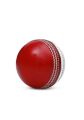 Swing Cricket hard ball/Training Hard ball/Non synthetic hard ball. 