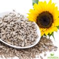 GreenFinity Sunflower Seeds | Surajmukhi Ke Beej Raw Sunflower Seeds for Eating, Healthy Seeds, Protein & Fiber Rich Superfood - 250g. 