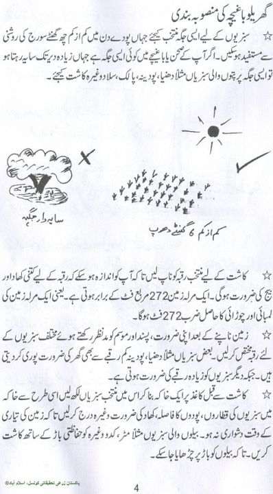 300+%20Methi%20/%20Fenugreek%20Vegetable%20Seeds%20-%20High%20Germination%20Rate%20-%20Image%2010