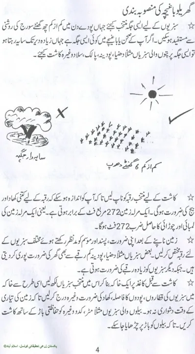 300+%20Methi%20/%20Fenugreek%20Vegetable%20Seeds%20-%20High%20Germination%20Rate%20-%20Image%2010