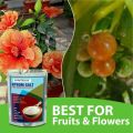 Unitedlys Epsom Salt for Plants Growth & Nutrient, Magnesium Sulphate, Gardening Plant Food, Epsom Bath Salt for Muscle Relief, Aches & Pain, Enhance Your Garden's Health and Wellbeing, 380G, Powder. 