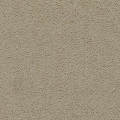 Natural Woolen Carpets and Rugs made of pure Wool for Living Room Rug, Dimension 3'3'' x 5' / 4'4'' x 6' / 6'6'' x 9'. 