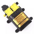 12V Double Head Diaphragm Water Pump Electric Water Sprayer Pump High Pressure. 