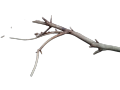 Driftwood for Aquarium Decor Natural Branches for Fish Tank Decorations(BIG SIZE). 