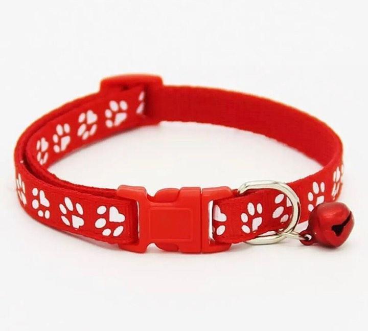 Collar%20For%20Puppies%20and%20Cats-Adjustable-RED%20-%20Image%203