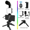 AY-49 Vlog blog tripod kit with bluetooth shutter, tripod, light and microphone. 