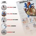 Human Heart Wall Chart | Wall Poster for Science Lab and clinics Decoration | HD picture Presentation on 200 grams Laminated Card 23*36 inches. 