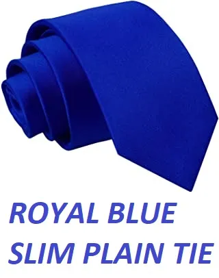 ROYAL%20BLUE%20SLIM%20PLAIN%20TIE%20-%20Image%202