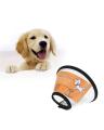E Collar For Dogs S/L. 