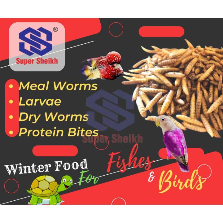 Dried BSF Larvae 100g (A Kind Of Meal Worms) Protein Bites for Birds and Fishes