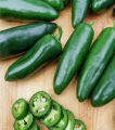 Jalapeno Hybrid Green Chilli Chili Seeds (Sabaz Mirch) Kitchen Gardening Vegetable. 