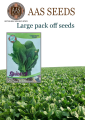 Seeds vegetable Spanich green ( پالک ) vegetable seeds. 