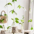 Set of 8 Rope Hanging Small Glass Bud Vase Without Money Plants , Decorative Hanging Glass Plants Vases, Small Hanging Vases, Home Decor, Housewarming Gift. 