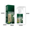 Lawn Spray Paint Eco-Friendly Green Gr Spray Paint Colorant. 