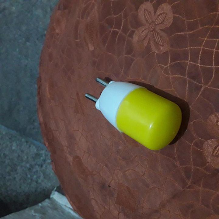 Special Light Emitting Diode (LED) Night Bulb 0.5 Watts led bulb Plug and play for direct socket two pin plug bulb (Zero Bulb)