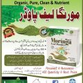 Moringa Leaf Powder Organic Neem powder 250 gm. 