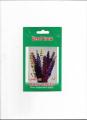 Pack of 5 seasonal Flowers Seeds By More Green. 