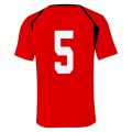 Haikyuu!! Nekoma Uniform T-shirt Cosplay Customer Tee Tetsurou Hoodie Kenma Short Sleeve Sport Uniform Sportswear. 