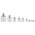 17 Pcs Calibration Weights Set, 10Mg-100G Grams Weights Calibration, Precision Steel Calibration Weight Kit. 