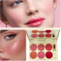 TV PARLOUR Original Matte Blush on kit 6 IN 1 Professional Blush Palette Blusher Makeup kit For All Girls. 