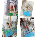 UK bird toys 3pcs Bird Play Gym Set, Parrot Exercise Toys with Beaded Hoop, Wooden Ladder, and Swing, Crude Wood Bird Perch, for Parakeets and Other Small Birds. 