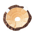 Cartoon Lion Design Pet Dog Cat Anti-Bite Protective Neck Cone Recovery Collar. 