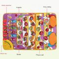 Alphabet Learning Toy, Musical Mat Educational Toy for English Letters & Words, ABC Learning and Sound Book, Interaction Learning Touch Play Game For Kids. 