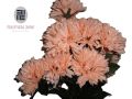 Artificial Skin Flowers - Artificial Marigold Flowers - Artificial Flowers - Flower Decoration - Flower For Home Decoration - Flowers - Artificial Flower For Decoration.. 
