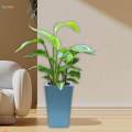 Plant Pot Self Watering Flower Pot with Drainage Holes for Bedroom Kitchen. 