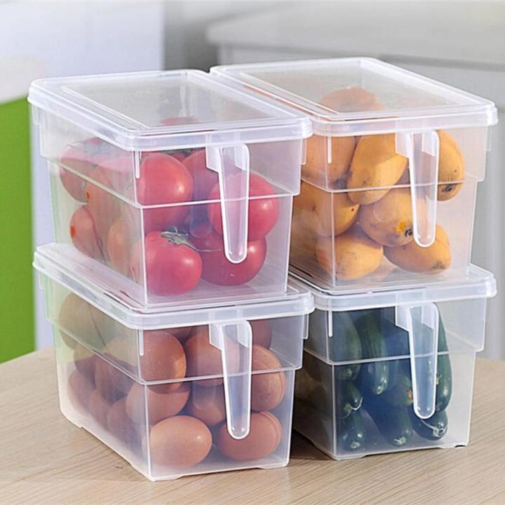Buy Hot SALE Kitchen Food Storage Box, Fridge Storage Container with Lid and Handle, Plastic Clear Square Storage Box (Pack of 1) By New Royal Kitchen Traders