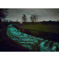 Glow in Dark Fluorescent Luminous Sand Wishing Bottle Fish Tank Gravel Decor. 