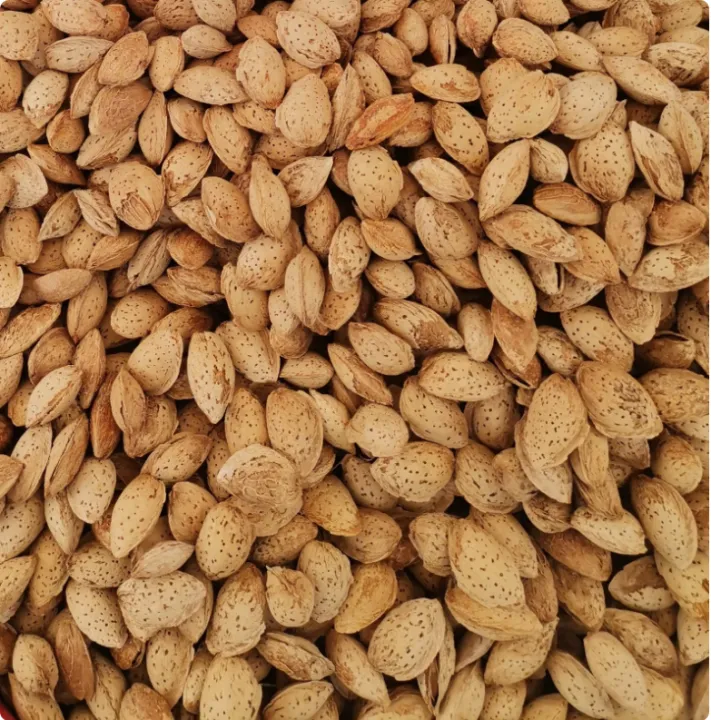 Almonds%20-%20Soft%20Shell%20-%20Badam%20-%20Nuts%20-%20DryFruits%20-%20Fresh%20&%20Crispy%20-%20By%20AliMaan's%20-%20Image%206
