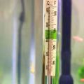 Aquarium Fish Tank Water Temperature Thermometer with Suction Cup / Sucking Cup Aquarium Water High-Accuracy Reliable Water Temperature BY KS PETS CARE. 