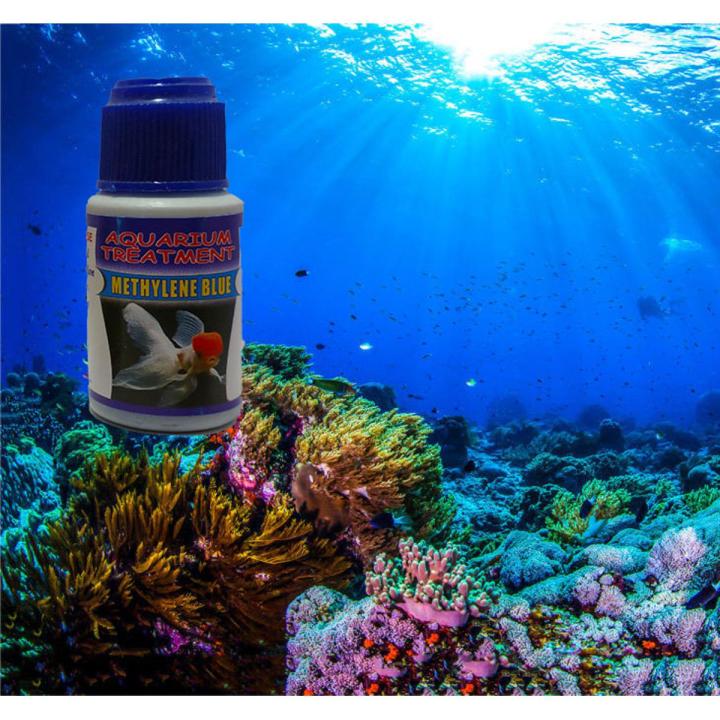Aquarium Fish Care Best Medicine For Fish Disease Methylene Blue