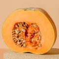 10 Seeds of pumpkin(Halwa Kaddu)  Kitchen garden. 