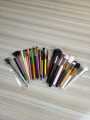 Pack Of 12 Professional Makeup Brushes For Women. 