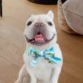 Dog Cooling Collar Cats Cooling Bandanas Cooling Rings for Around Your Neck Neck Body Cooling. 